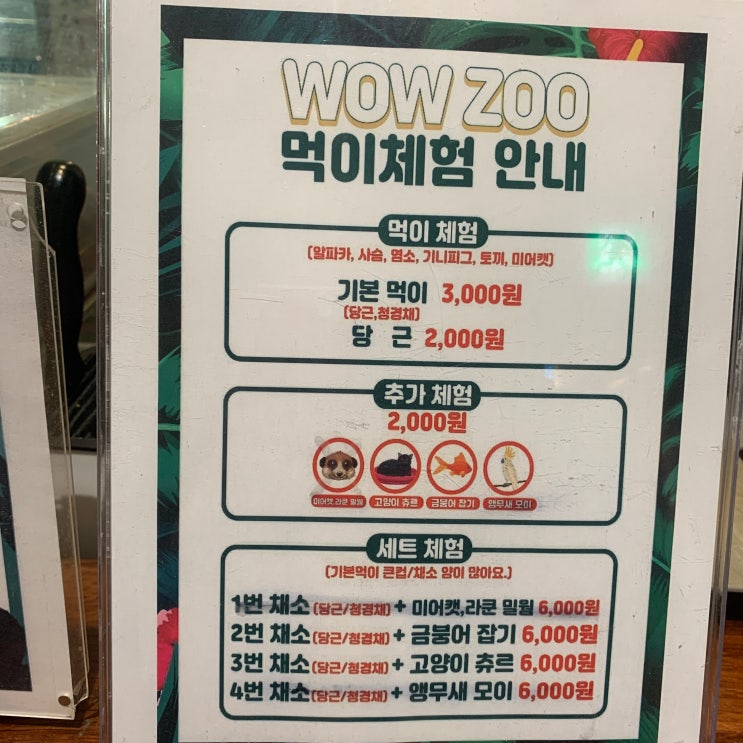  [경주 실내동물원] WOW ZOO(와우주) 늦은 후기