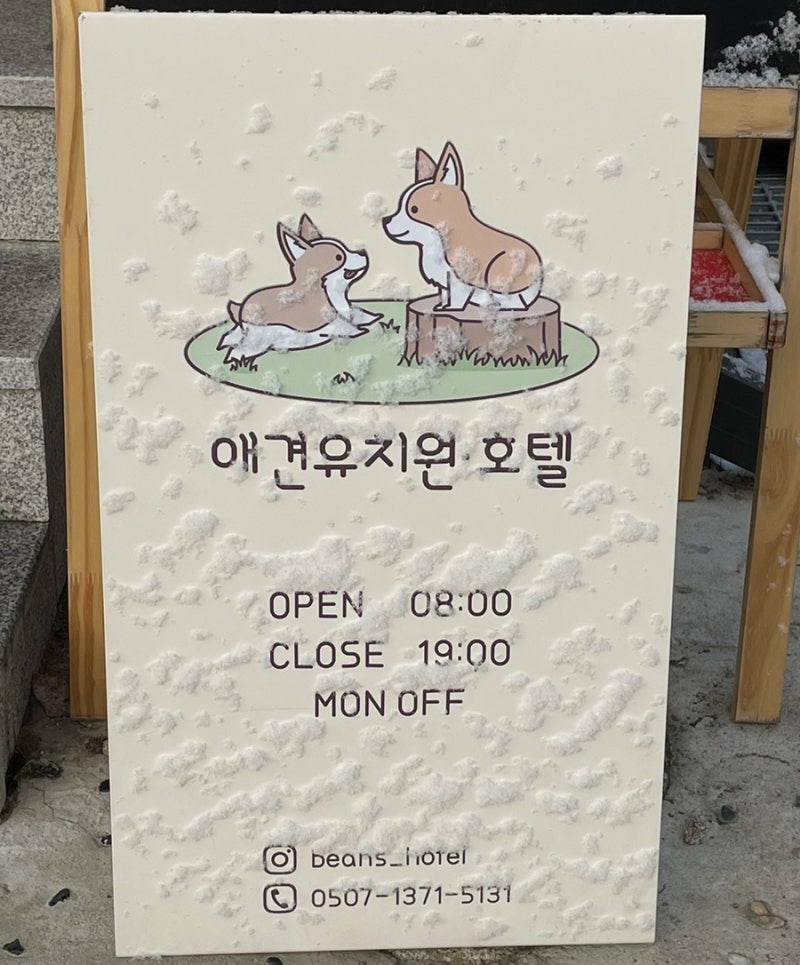 사진 4