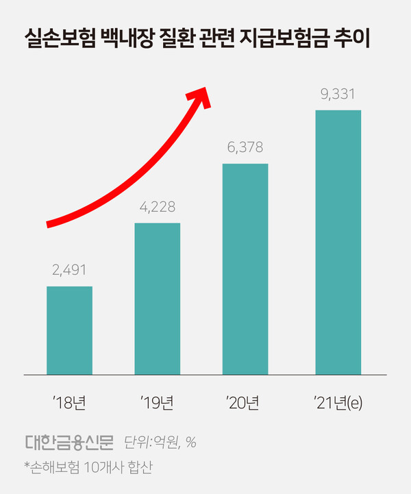 실손보험료 인상 주범 ‘9개 비급여’ 틀어막는다 실손보험료 인상 주범 ‘9개 비급여’ 틀어막는다