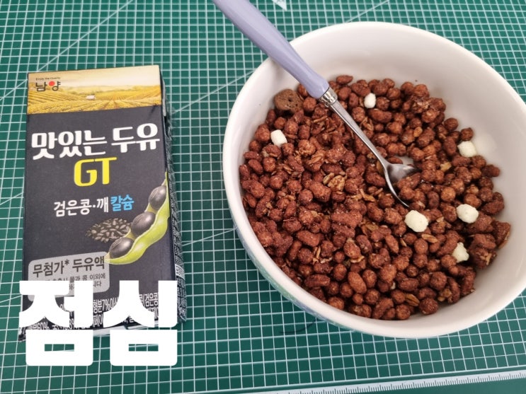  식이조절 건강한 음식 100일 먹기(80)
