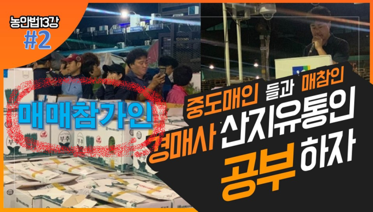  [경매사필수과목-농안법 #13 (2)] 도매시장 관계자인 "매매참가인"에 대해서 알아봅시다!