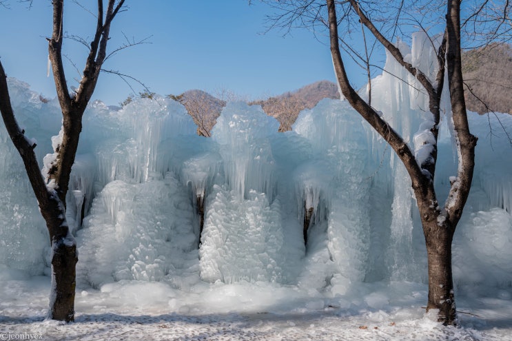 상소동산림욕장 / 대전의 겨울왕국