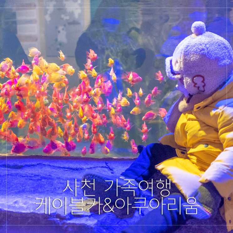  경남 사천 아라마루 아쿠아리움 다녀온 후기