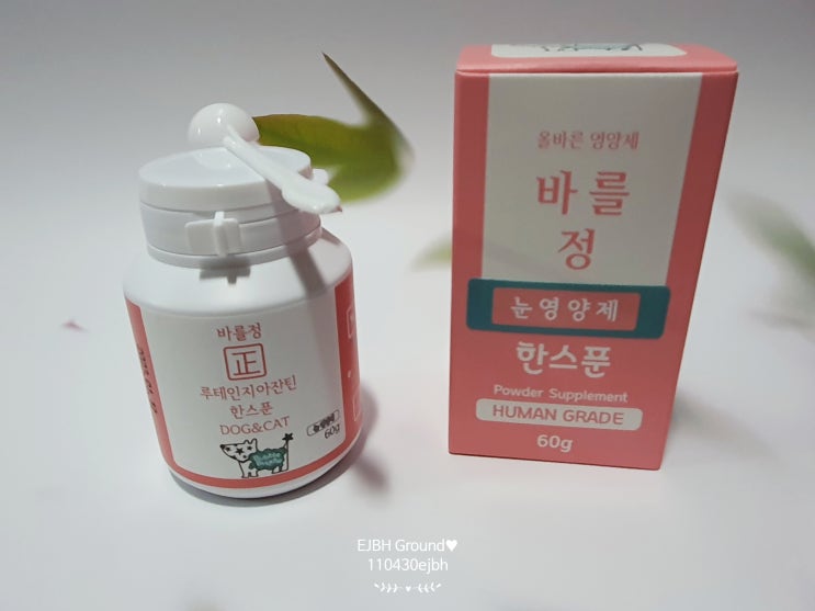  강아지눈영양제 바를정 루테인 지아잔틴 한스푼