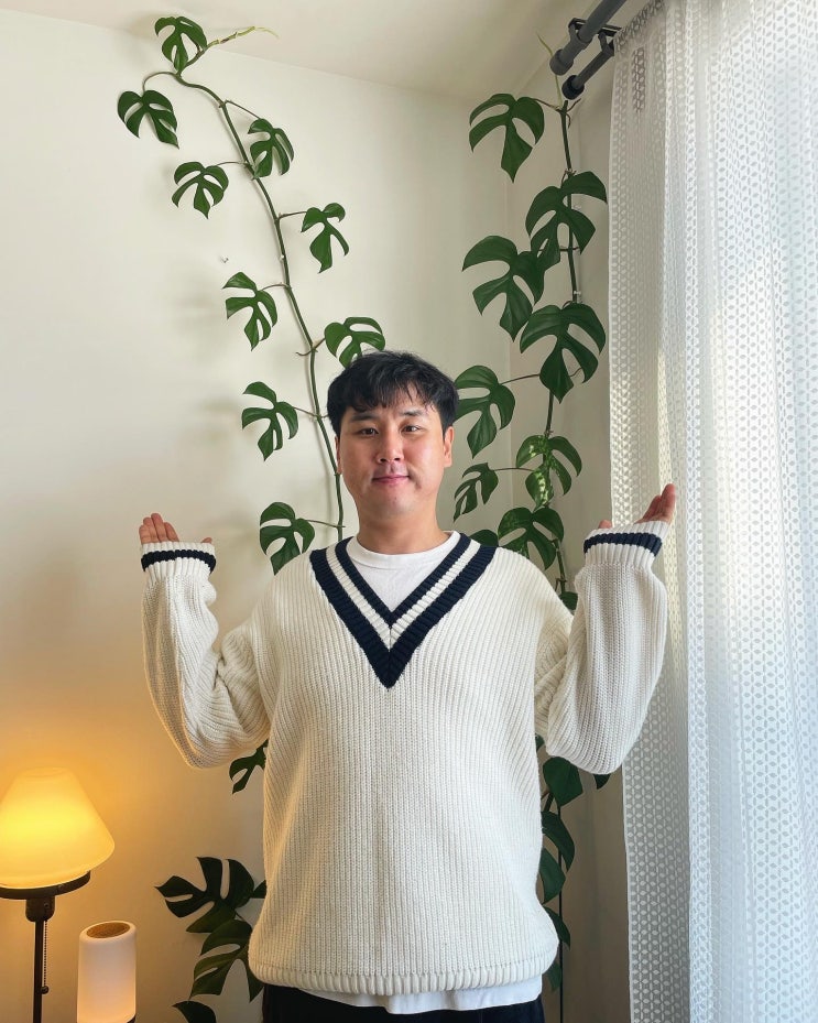  히메 몬스테라 가지치기 하는법