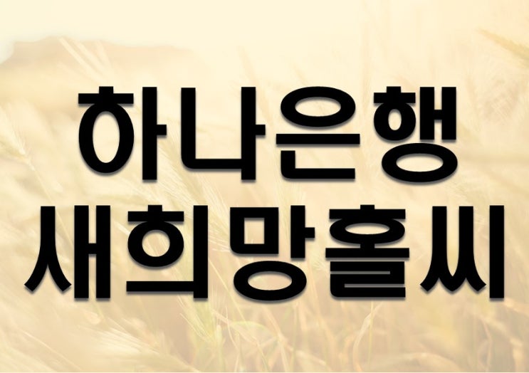  하나은행 새희망홀씨 조건 및 한도 간단 정리