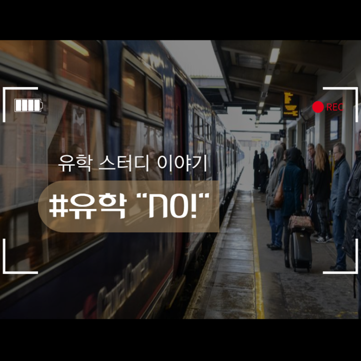  지금 유학은 “NO!”