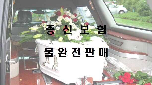  종신보험 불완전판매