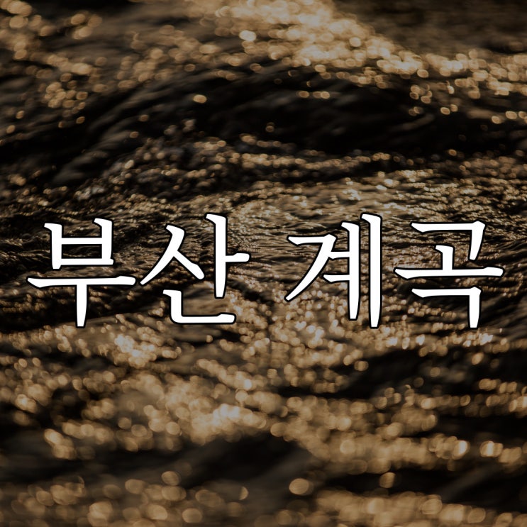  부산 금정산성 계곡 / 실화 무서운 공포 썰