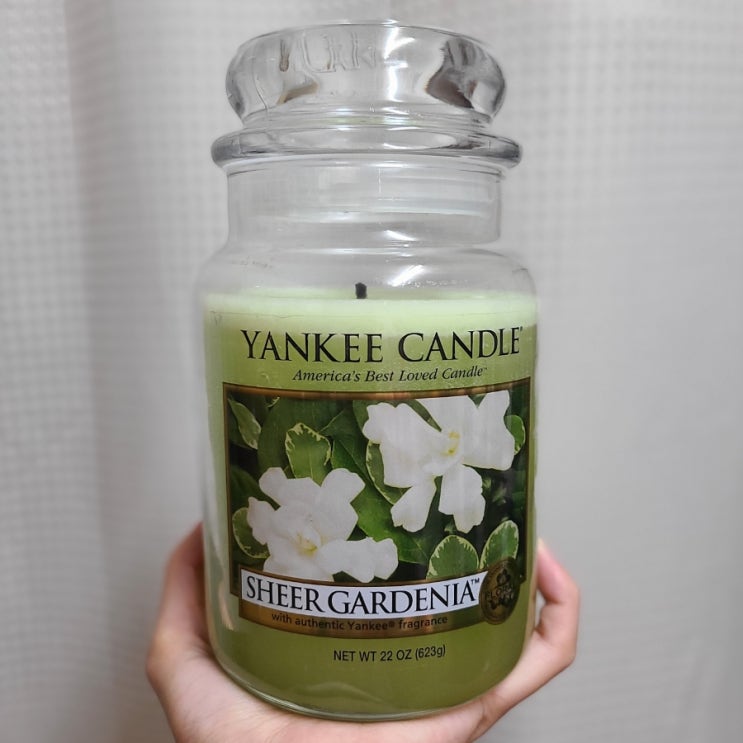  양키캔들: Sheer Gardenia
