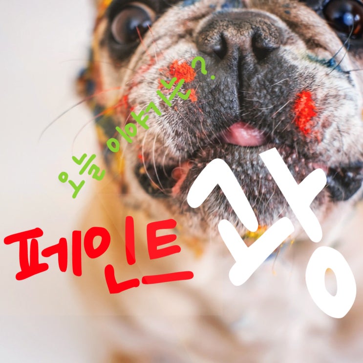  DIY! 전문가처럼 페인트칠하기? 페인트 광!/ DIY 난이도? 페인트 >인테리어필름 >도배