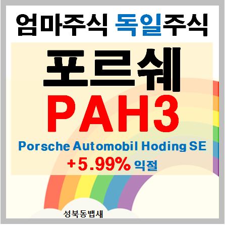  [독일주식]포르쉐 5대?아니 5주 매도 