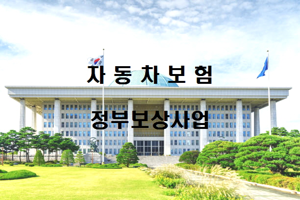  2022년 자동차보험 정부보상사업 뺑소니 무보험차량 사고시 받아요  