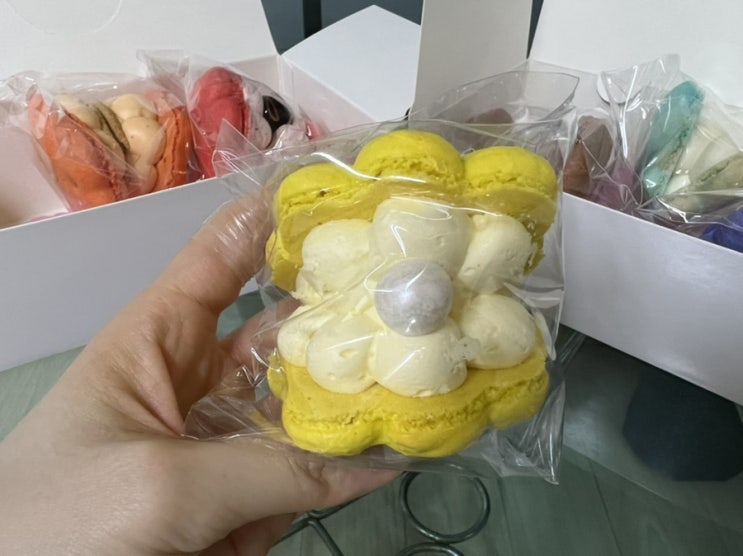  의정부마카롱 의정부디저트 의정부역카페 조개 마카롱 맛있는 리베