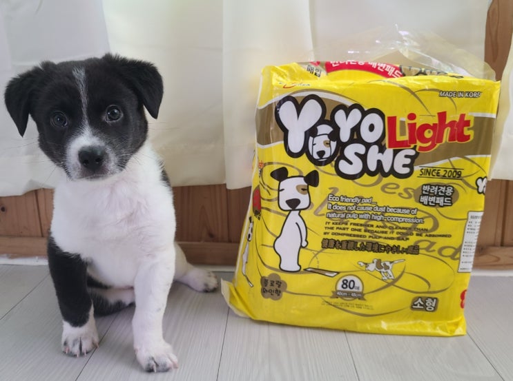  애견패드 요요쉬 라이트 배변패드 소형 강아지한테 딱이에요!