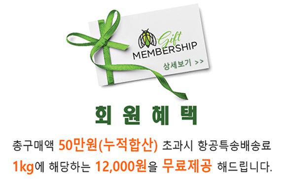  최저가 태국직구 사이트 타이다이렉트바이 입니다.