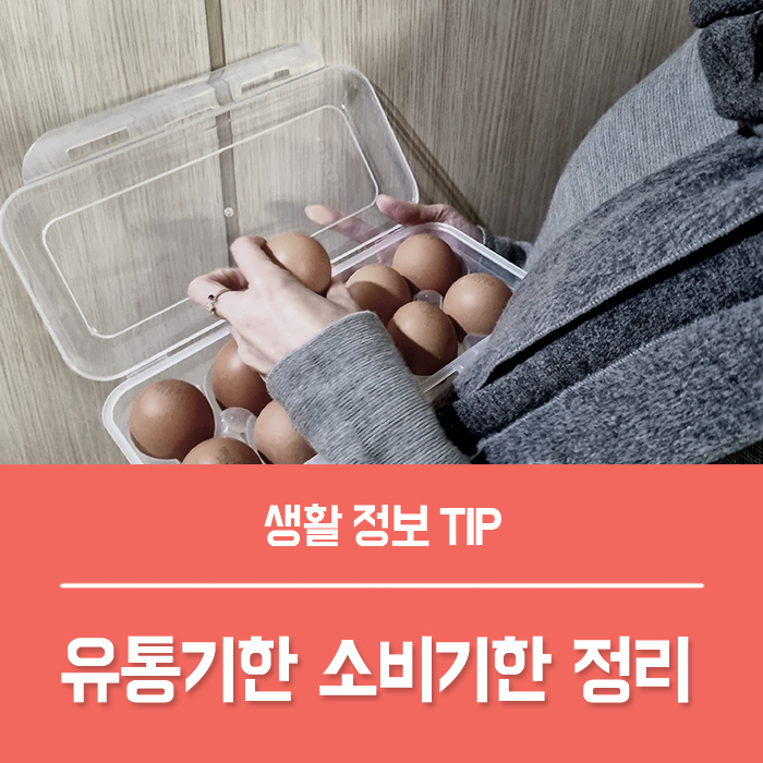 우유 계란 라면 유통기한 소비기한 간단하게 정리