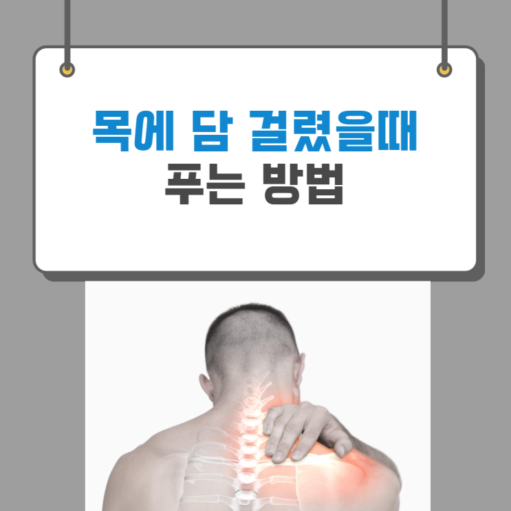  목 담 푸는 법! 같이 알아보기