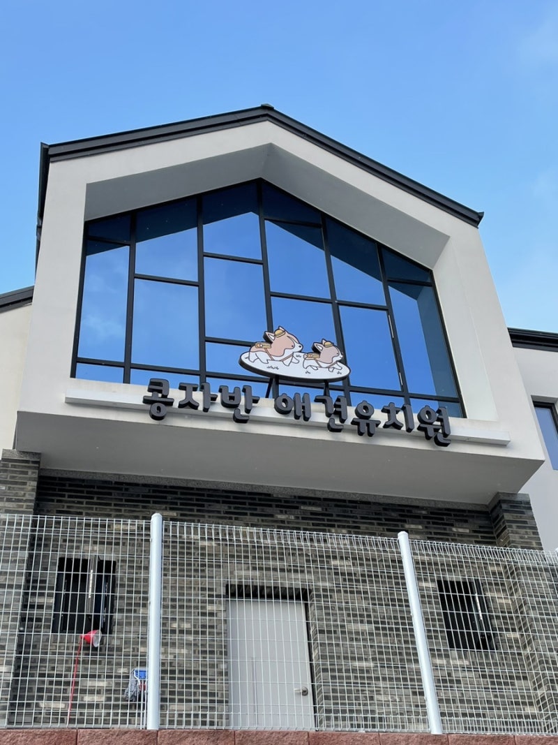 사진 3