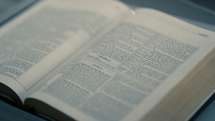 성장을 구원의 요소로 만들어버리는 성서(베드로전서 2장 2절)