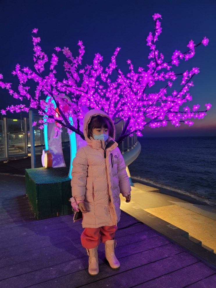  대천 해수욕장 놀러왔어요