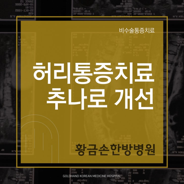  허리통증치료 추나로 개선해요
