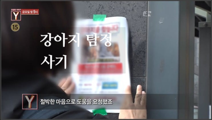 강아지 실종 찾아준다는 탐정 김씨 돈받고 먹튀 완도군 용진읍 14년 기부 얼굴없는 천사 정체 궁금한이야기Y 강아지 실종 찾아준다는 탐정 김씨 돈받고 먹튀 완도군 용진읍 14년 기부 얼굴없는 천사 정체 궁금한이야기Y