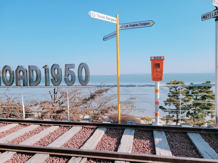 충청남도 [당진] "로드 1950"미국 감성 초대형 카페 대박!!