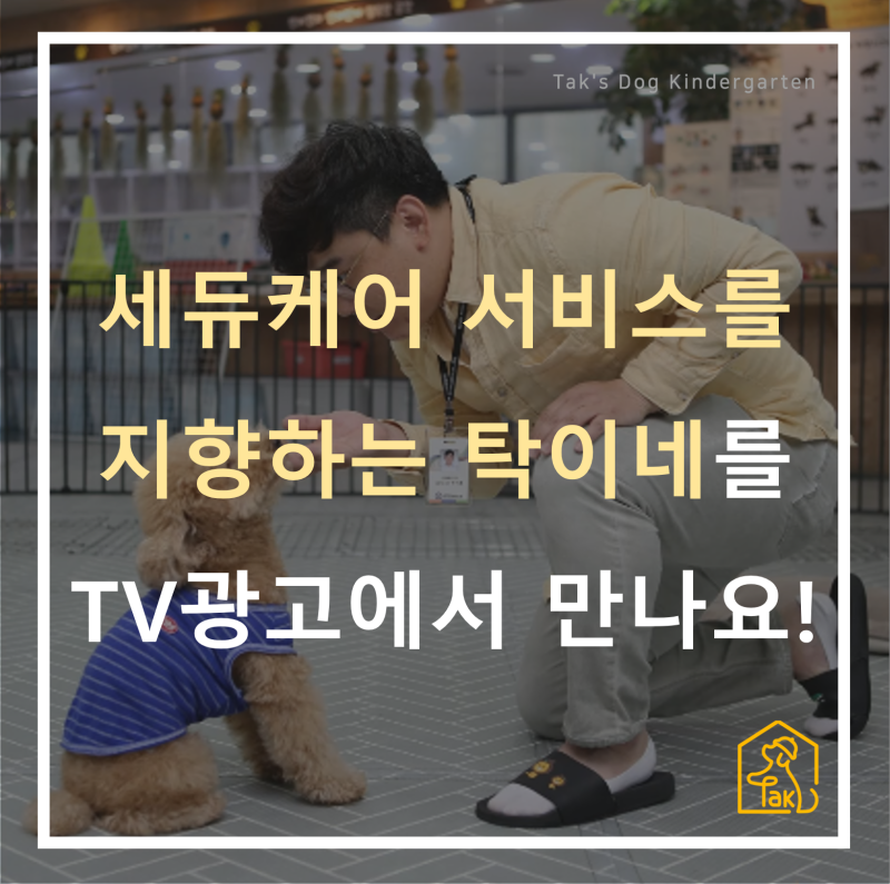사진 4