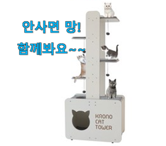  갖고싶은 캣타워 베스트 인싸템 득템하세요