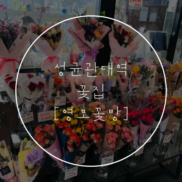  성균관대역 영보꽃방 | 분위기 전환을 위한 꽃다발 종류와 가격