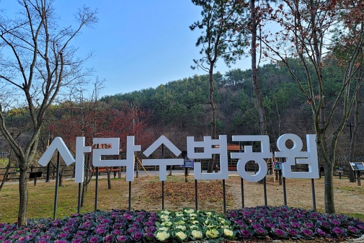  기장 산책로 사라 수변공원 부산 근교 강아지 산책하기 좋은 곳
