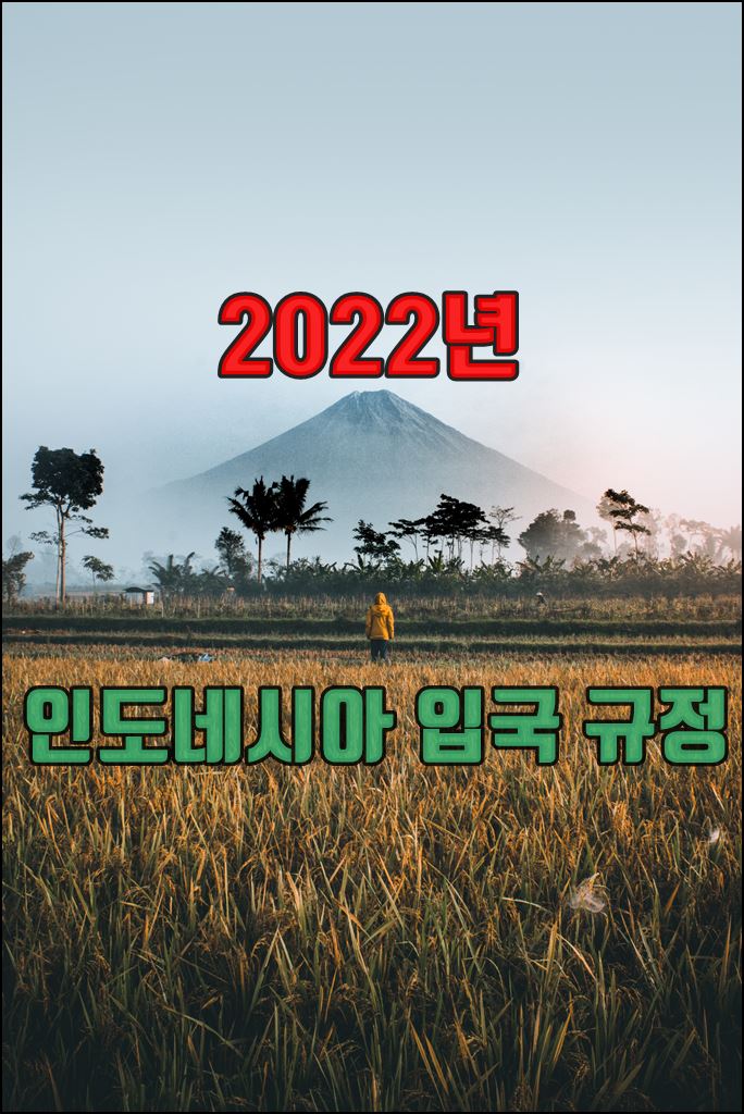  2022년 인도네시아 입국규정