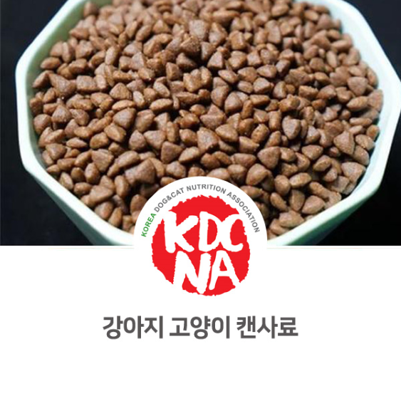  정유경 펫영양사가 알려주는 강아지 고양이 캔사료 장단점_949 [한국반려동물영양협회/반려동물영양전문강사/강아지자격증/고양이자격증/펫푸드수업/사료/애견수제간식/익산/전주/군산/장성]