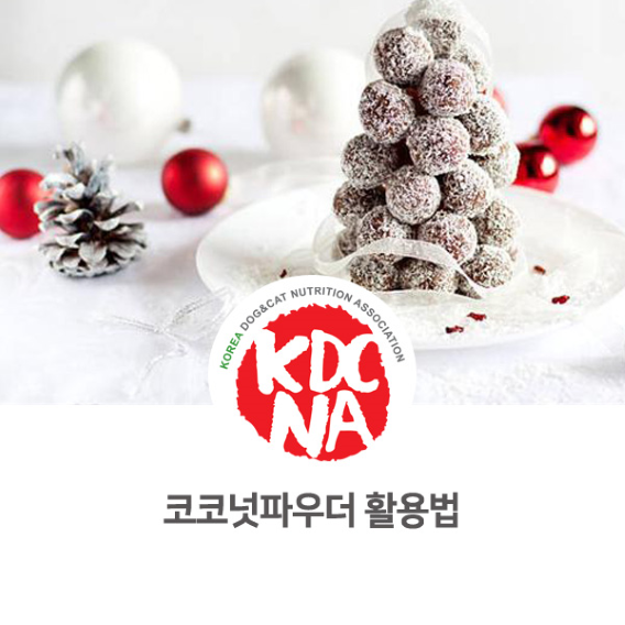  한국반려동물영양협회 광주지회가 알려주는 코코넛파우더 활용법_953 [완자애밥/강아지자연식/고양이자연식/펫베이커리/장성/무안/영광/구례/순천/광주/펫푸드수업/애견수제간식창업]