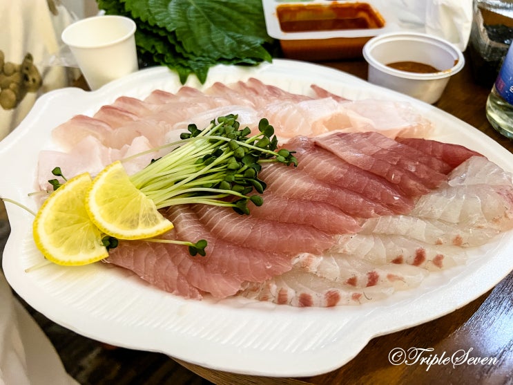  [맛집] 제주 동남팔팔 포장 회센터 방문 및 모듬회 후기! 역시 바닷가는 횟집이죠!