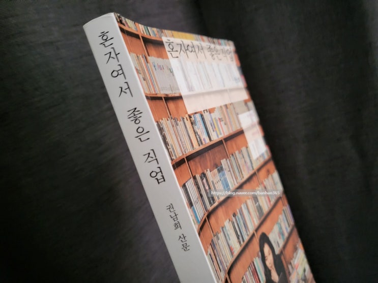  혼자여서 좋은 직업 - 권남희