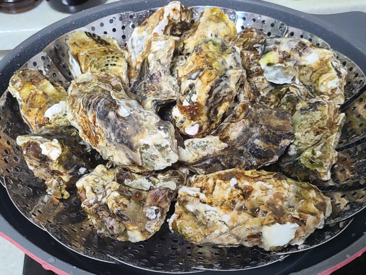  겨울 제철 석화 굴찜 찌는법 굴요리 손질 세척 방법