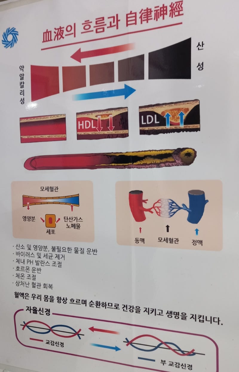 헬스트론 : 네이버 블로그