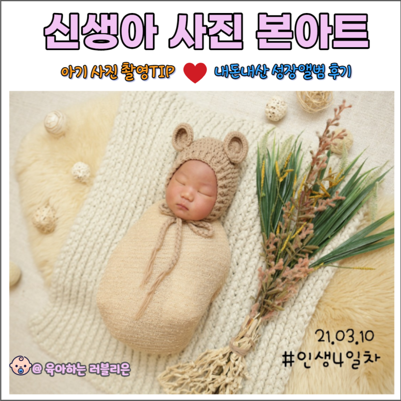 실파 셰티 아기 사진 원본