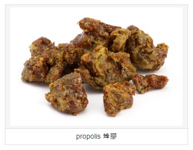  프로폴리스(Propolis) 효능과 활용
