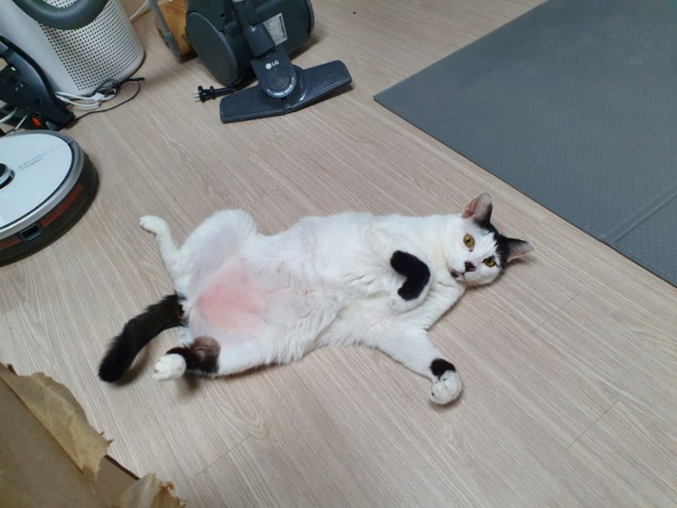 [7년 전 오늘] 얼씅이 먹방