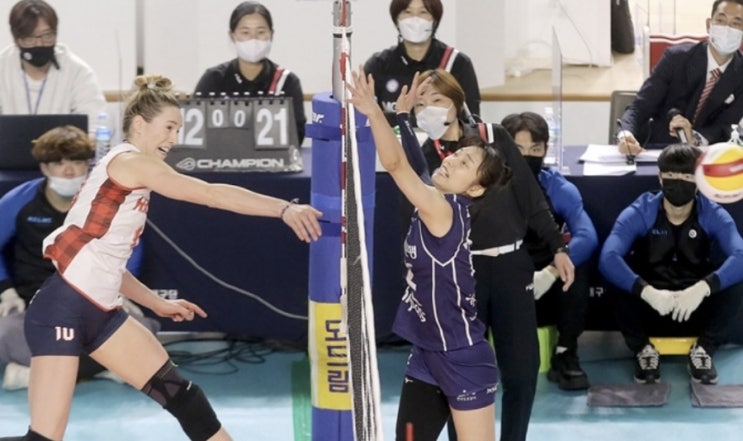 KOVO 프로배구 국내 남자배구 현대캐피탈 KB손해보험 여자배구 현대건설 도로공사 KOVO 프로배구 국내 남자배구 현대캐피탈 KB손해보험 여자배구 현대건설 도로공사