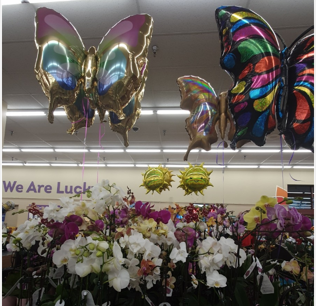  미국 마트  LUCKY  MART 럭키 마트 장보기 공유