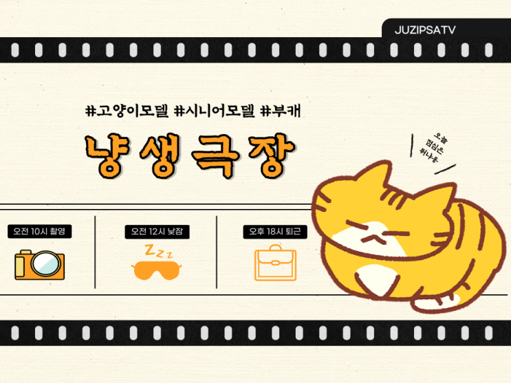  내 이름은 보리, 고양이죠 나의 부캐는 화려한 시니어 모델입니다