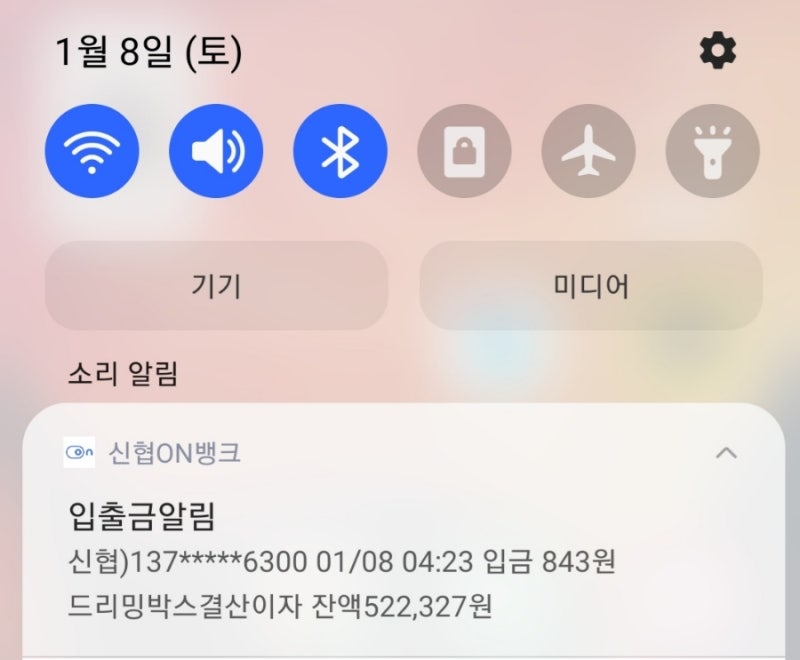 [신협 파킹통장 이자받는날] ㅡ 드리밍박스 이자입금됐어요^^