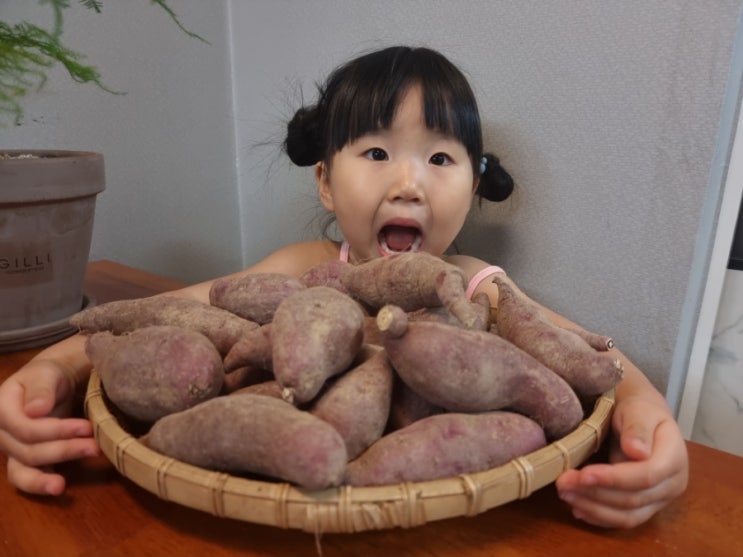  여주고구마 믿고 구매하는 최호성고구마 겨울간식추천:))