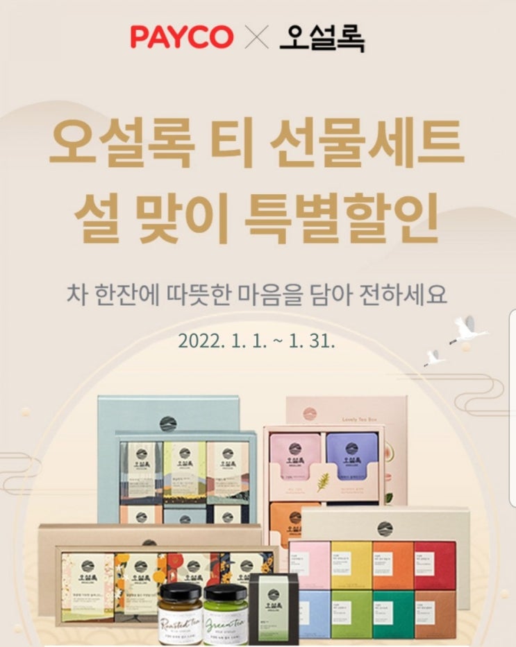  오설록 티 선물세트 설맞이 15% 특별할인