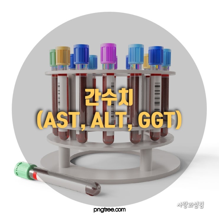 AST ALT 간기능 수치 정상 범위 알고 관리하기(feat. 간질환) AST ALT 간기능 수치 정상 범위 알고 관리하기(feat. 간질환)