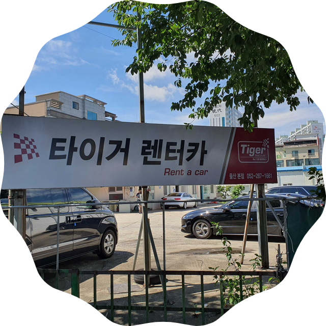  울산 렌트카 전문 업체! 카모아 울산 타이거렌트카